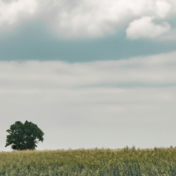 minimalist vibrant landscape