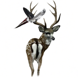 realistic detailed wildlife